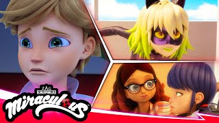 MIRACULOUS  🐞 COMPILATION 4  SEASON 5 🐾  Tales of Ladybug amp Cat Noir [upl. by Nawat537]