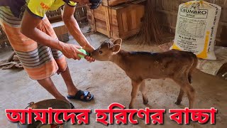 এই বছরের সবথেকে ছোট বাচ্চা। Tonmoy942 subscribe [upl. by Crispa]