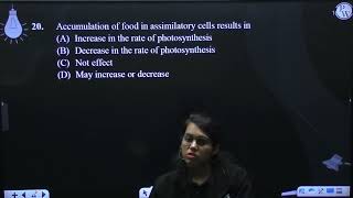 Accumulation of food in assimilatory cells results in [upl. by Henson563]