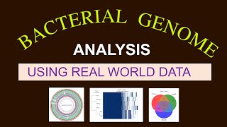 Whole Genome Sequence Analysis  Bacterial Genome Analysis  Bioinformatics 101 for Beginners [upl. by Notgnirrab861]