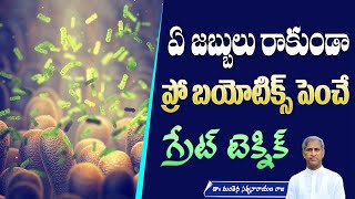 Probiotics for Gut Health  Immune System  Friendly Bacteria  Curd  Manthena Satyanarayana Raju [upl. by Mathre133]