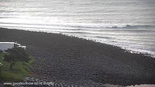 GOOD SURF NOW Raglan Live Stream [upl. by Sashenka395]