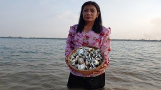 វិធីចំអិនគ្រំឆ្ងាញ់  How To Cook Mussels Have Taste Delicious  Cooking Freshwater Mussels Recipe [upl. by Winnah639]