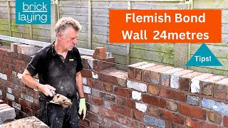 WHAT A JOB FLEMISH BOND Garden wall [upl. by Limber]