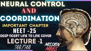 NEURAL CONTROL AND COORDINATION LECTURE  1 NEET  2025 FIGHT FOR DREAM MEDICAL COLLEGE [upl. by Nuoras457]