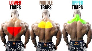 TOP 15 TRAPS WORKOUT AT GYM  LES MEILLEURS EXERCISES MUSCULATION TRAPÈZES [upl. by Esinad]