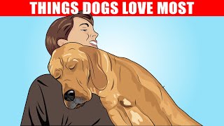 15 Things Dogs Love the Most [upl. by Emlynne]