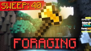 FORAGING UPDATE IN HYPIXEL SKYBLOCK [upl. by Laddie683]