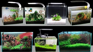 AMAZING 4ft Archerfish  Paludarium  Aquaterrarium  Aquarium EPIC BUILD [upl. by Ennoval]