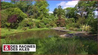 Le Cotentin petit paradis des jardins [upl. by Chesney]