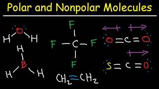 Polar and NonPolar Molecules How To Tell If a Molecule is Polar or Nonpolar [upl. by Ynney]