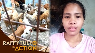 UPDATE SA ANIMAL SHELTER NA INIREKLAMO [upl. by Hort]