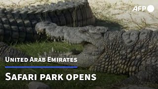 UAEs Sharjah Safari park opens its doors to visitors  AFP [upl. by Stelmach]