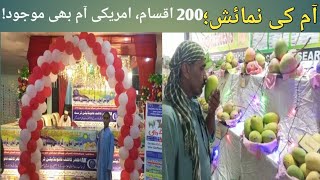 Mango Festival  Mango Show 2023  Mirpurkhas Mango  Mango Varities  Amazing Fruit  USA Mango [upl. by Thorpe]