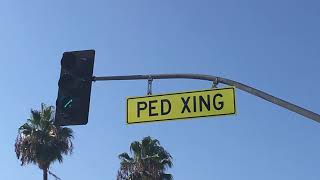 07 Signs PED XING [upl. by Anavas]