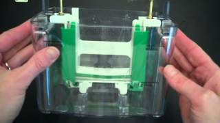 SDS PAGE Part 1 Assembly and Electrophoresis [upl. by Rosalyn29]