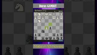 Duras Gambit Mate in 10 Moves shorts [upl. by Cir]