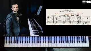 Schumann Träumerei  TutorialAnalysis [upl. by Stanislaw]