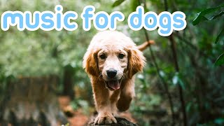 NO ADS Deep Relaxation Music for Dogs  20 Hours [upl. by Saito]