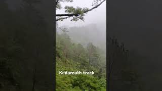 kedarnath track [upl. by Kashden145]