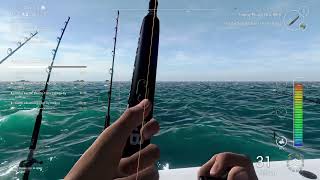 Fishing Planet Unique Striped Marlin locations [upl. by Kloster]