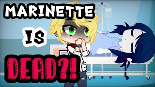 Marinette is Dead  Prank Gone Wrong  MLB [upl. by Anirtal]