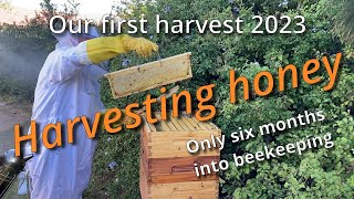 Our first Honey harvest [upl. by Naahs]