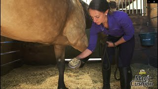 Magic Cushion  How It Works How to Apply It amp How Magic Cushion Hoof Packing Helps Your Horse [upl. by Netsrak]