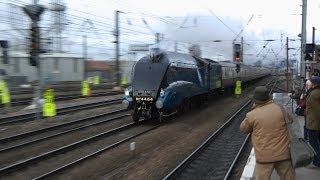 4464 Bittern in York and Doncaster 7th December 2013 [upl. by Fihsak]