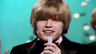 Hermans Hermits  Theres A Kind Of Hush 1967 [upl. by Jegger]