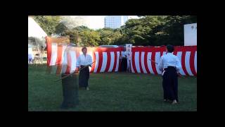 Korindo Aikido  Demonstration Meiji Jingu 2010 [upl. by Ries370]