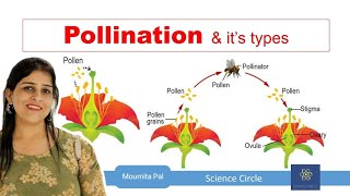 Self amp Cross Pollination  Sexual Reproduction in Plants II Agents of Pollination II [upl. by Ibocaj108]