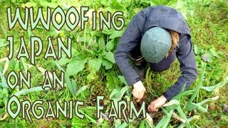 WWOOF Japan [upl. by Onilegna]