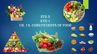 Std 5 EVS 1 ch 19 Constituents of Food [upl. by Gerfen]