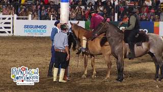 Jineteadas de caballos Festival de Doma y Folklore de Jesús María 2023 noche 7 [upl. by Gneh]