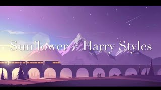 Sunflower Lyrics 1 Hour music loop  Harry Styles [upl. by Matthia406]