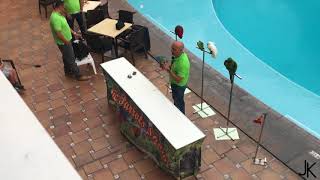 Funny PARROT SHOW in Teneriffe Vigilia Park [upl. by Adam712]