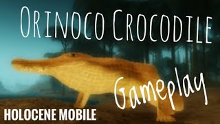 Orinoco crocodile gameplay Holocene Mobile Roblox [upl. by Auhel80]