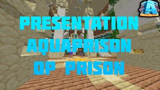 PRESENTATION DU SERVEUR AQUAPRISON 1194  121 [upl. by Yerot745]