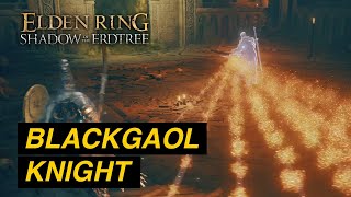 Defeating Blackgaol Knight  Elden Ring DLC  Shadow of the Erdtree [upl. by Shipp]