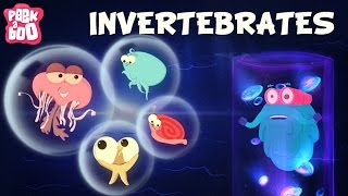 Invertebrates  The Dr Binocs Show  Learn Videos For Kids [upl. by Neelya]