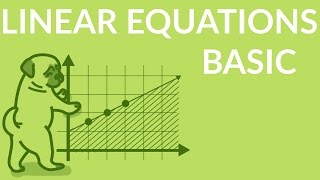 ʕ•ᴥ•ʔ Learn Linear Equations with a simple example [upl. by Nnahteb]