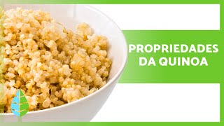 BENEFÍCIOS da QUINOA para a saúde ✅ PROPRIEDADES Para que serve e como CONSUMIR [upl. by Gervase467]