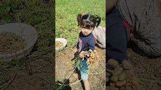 Arpita Vlog cutebaby trending shorts youtubeshorts village [upl. by Papert54]