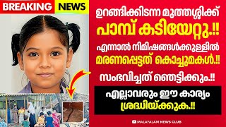 പാലക്കാട് നടന്ന സംഭവം ഈ കാര്യങ്ങൾ ശ്രദ്ധിച്ചില്ലെങ്കിൽ ഇത് എല്ലാവർക്കും സംഭവിക്കാം [upl. by Laehcimaj616]