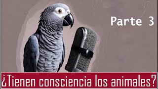 La Declaración de Cambridge ¿Los ANIMALES tienen consciencia Parte 33 [upl. by Rutter]