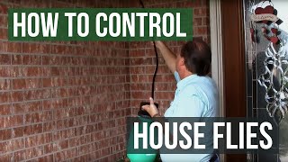 How to Control and Eliminate House Flies [upl. by Enala156]