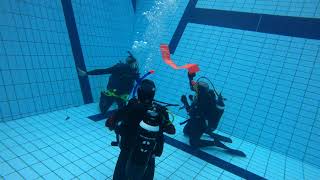 Lancio del pedagno durante le lezioni in piscina del Laboratorio di Subacquea Scientifica 2021 [upl. by Corinna]