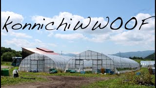 konnichiWWOOF  WWOOFing in Japan [upl. by Stuppy]