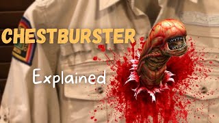 ChestBurster  Explained Alien Lore [upl. by Llecrup]